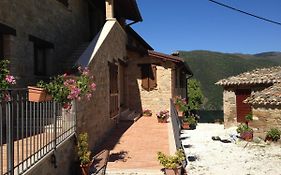 La Collina Dei Ciliegi